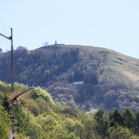 B&B Le Magnolie Faggeto Lario Zewnętrze zdjęcie