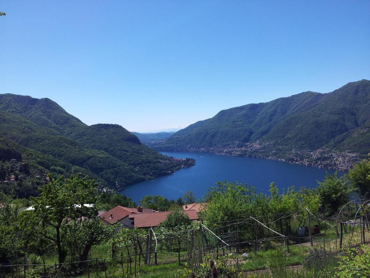B&B Le Magnolie Faggeto Lario Zewnętrze zdjęcie
