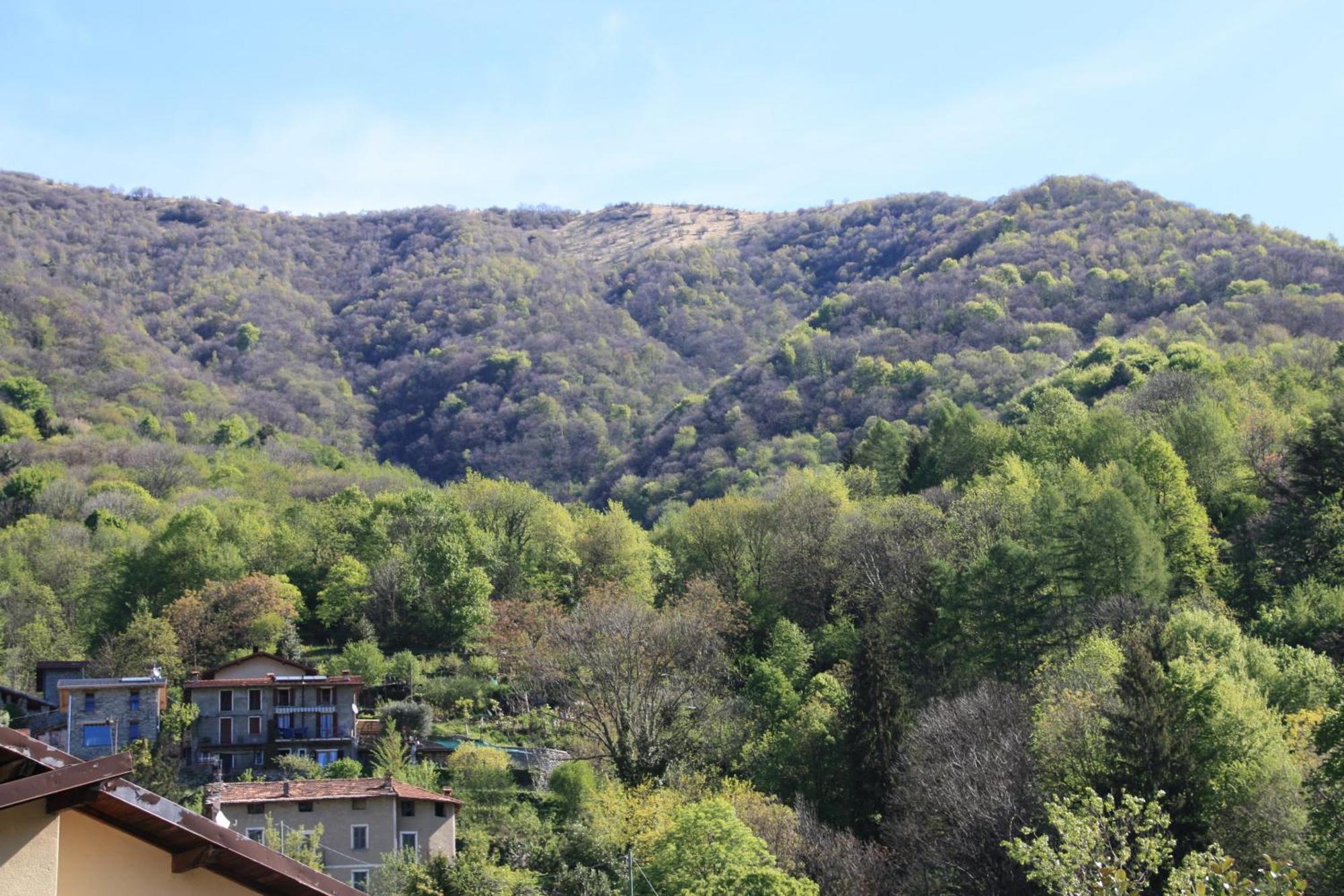 B&B Le Magnolie Faggeto Lario Zewnętrze zdjęcie