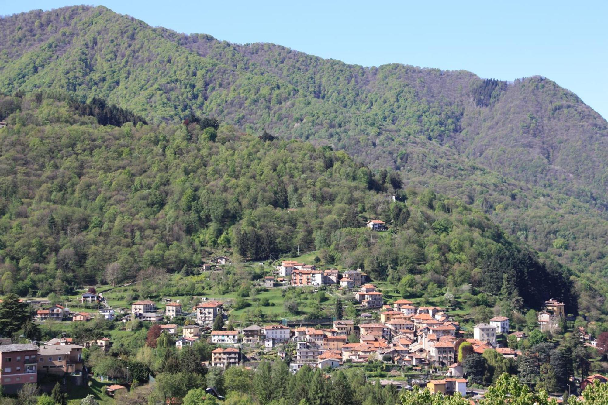 B&B Le Magnolie Faggeto Lario Zewnętrze zdjęcie